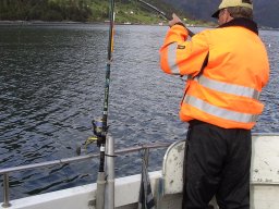 Norwegen 2008 Rundereim